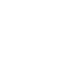 MOVER - Movilidades desbordadas 2 DiariodeCampo